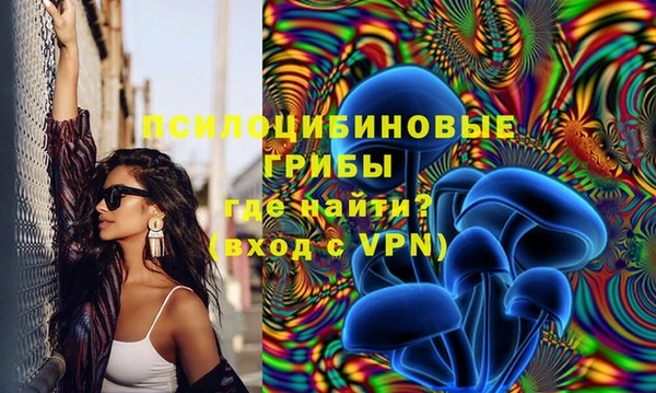 гидропоника Балахна