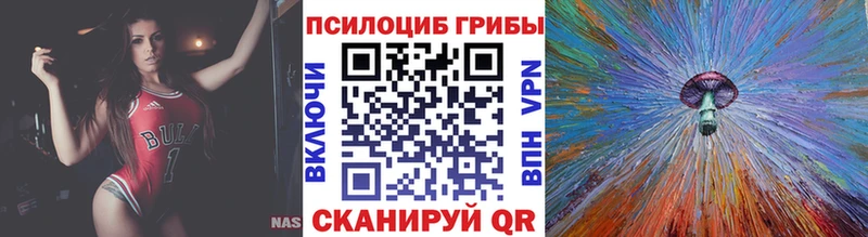 Галлюциногенные грибы Psilocybe  Нижние Серги 